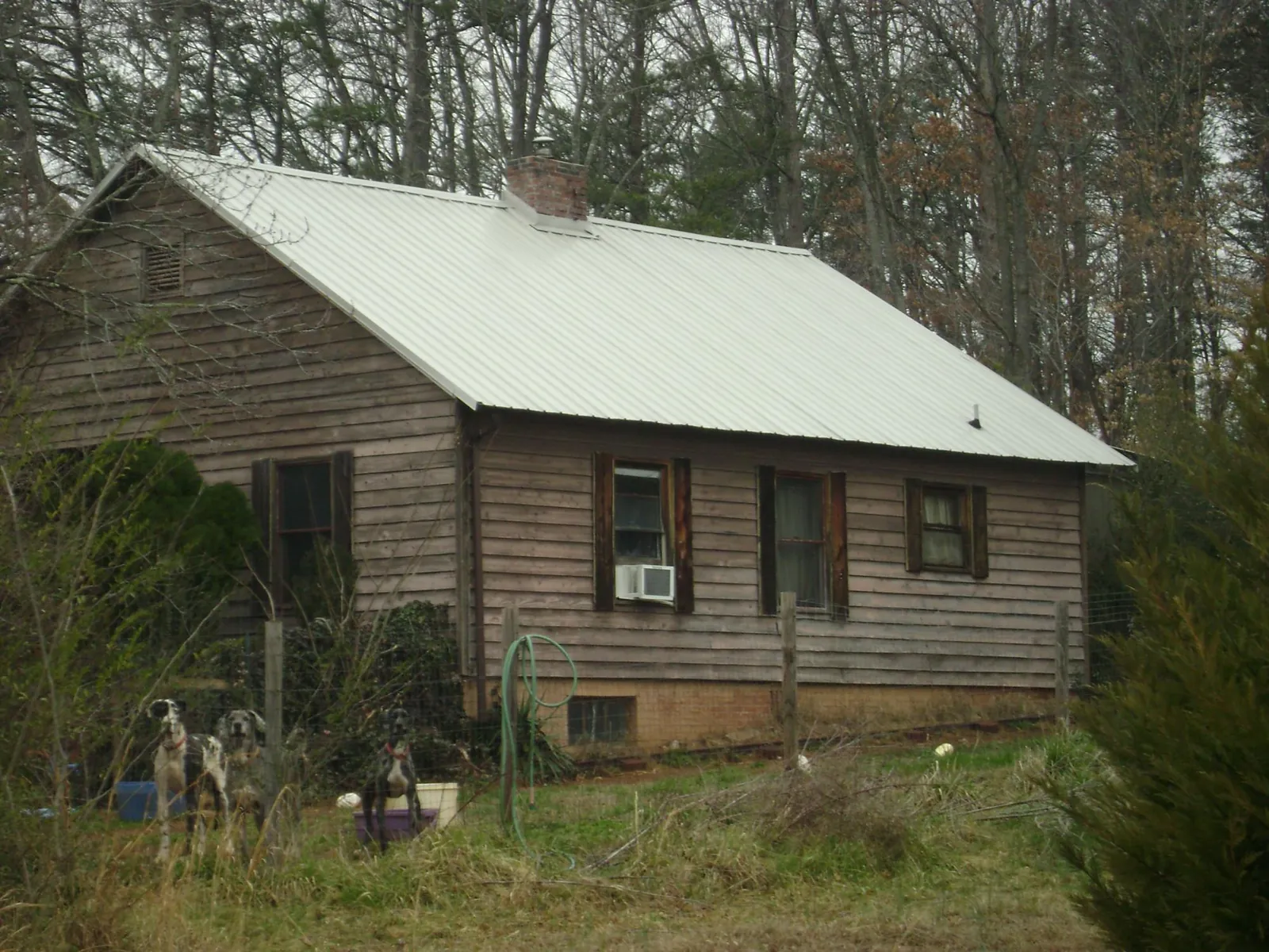 White metal roof on an old wood sided farmhouse, from a Metal Roof Installation job in Pine Lake